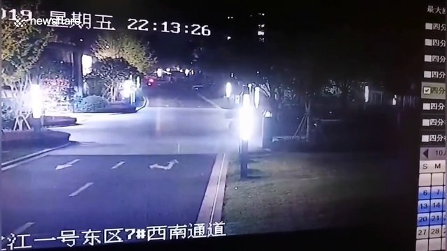 Family of wild boars rampages into Chinese residential community