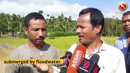 River Dhansiri is flowing above the danger mark