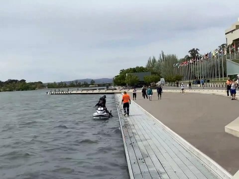 Un Kangourou nageant vs Les Flics