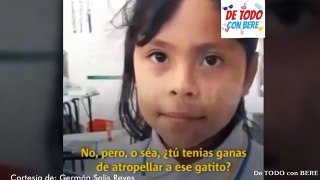 NINA ATROPELLA A UN GATO EN UNA CALLE DE SINALOA HABLA POR PRIMERA VEZ Y SU AUTO ESTA EN VENTA