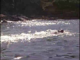 Trouble In Paradise 2/4