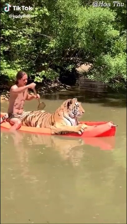 Cet homme est vraiment l'ami de tous les animaux. Tarzan en vrai