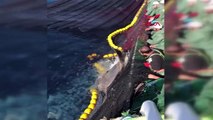 Çanakkale Boğazı’nda sardalya avı için denize bırakılan ağda yaklaşık...
