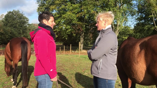 Erbisoeul (Jurbise) - équicoaching