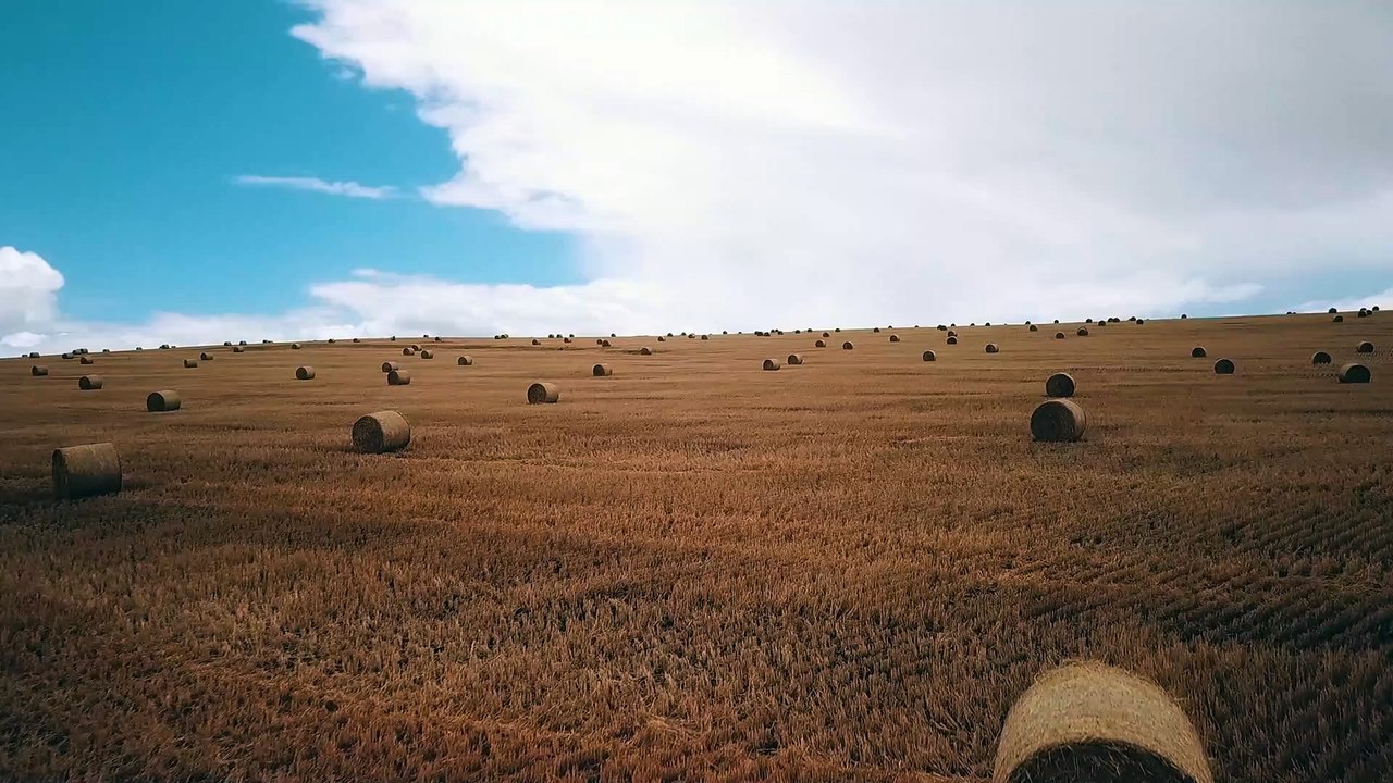 Taryn Elliott - Straw and Sky - Nature (No Copyright Video 6) [4K]