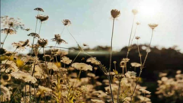 Amor Eterno Amor - A história de Rodrigo e Mirian - parte 2