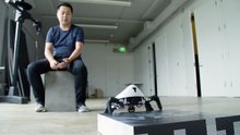 Hexa: the Fascinating Yet Unsettling Six-Legged Robot