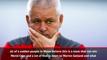 Gatland leaves Wales a legacy of belief - Shane Williams