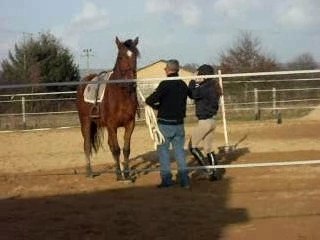 Quercy au débourage