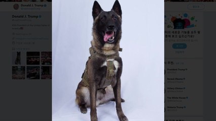 트럼프, 알바그다디 잡은 군견 사진 공개 / YTN