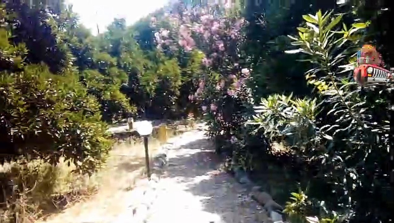 Olimpos Nerede Kaılnır? |  Olimpos Otelleri | Olimpos Konaklama | Gezelim.me