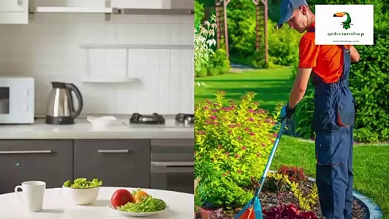 Những loại cây nên trồng trong nhà để đuổi chuột