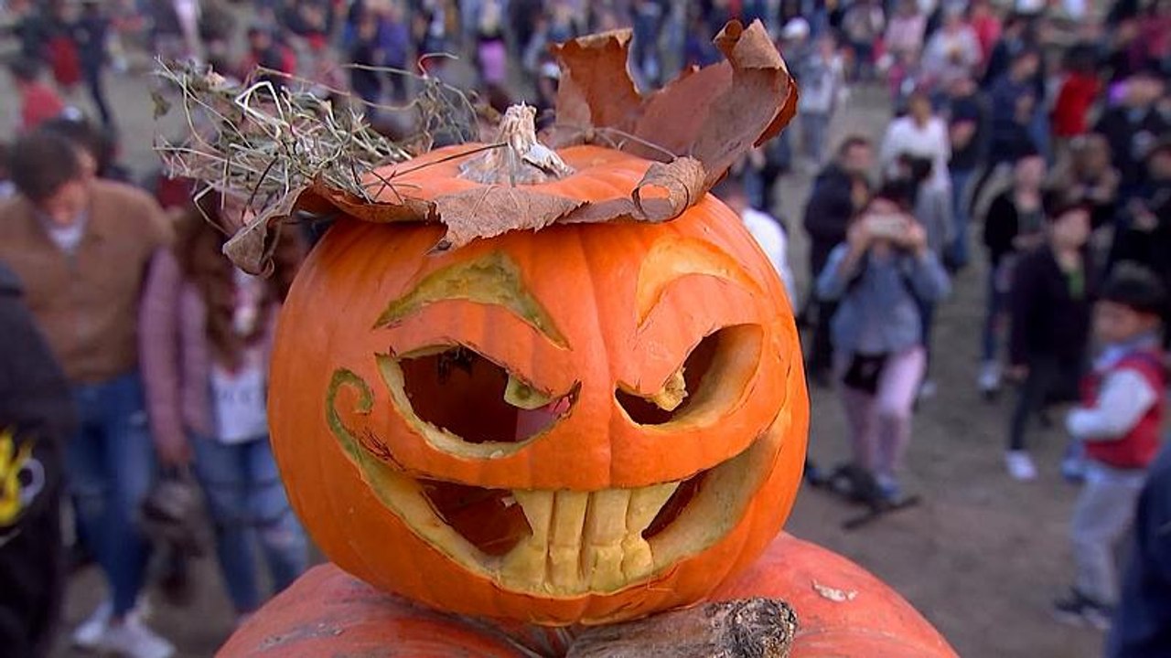 Halloween begeistert Bukarest: 5 Meter hoher Berg aus Kürbissen