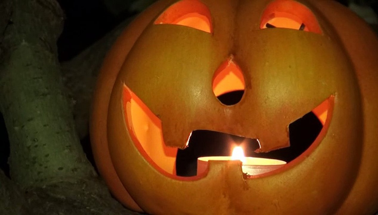 Süßes oder Saures - Happy Halloween