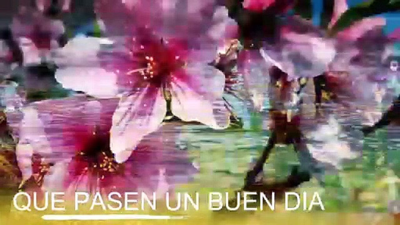 Conoce El Tiempo de Hoy Martes 29 de Octubre de 2019