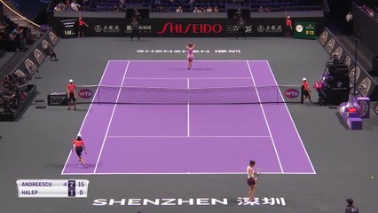 تنس: البطولة الختامية: هاليب تهزم اندريسكو 3-6 و 7-6 و 6-3