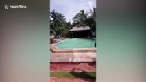 Earthquake causes waves at resort swimming pool in the Philippines