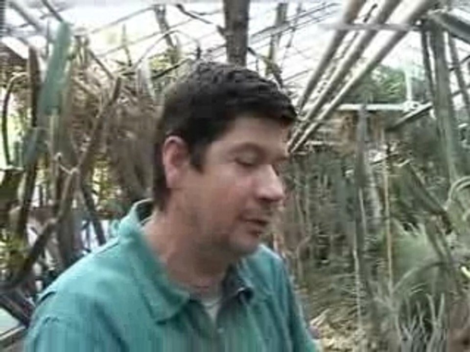 Arboretum de Chèvreloup