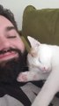 Adorable Cat Hugs Owner While Lying On His Chest