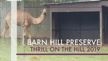 Barn Hill Preserve - Thrill on the Hill 2019