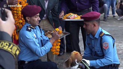Police in Nepal honour doggy detectives for their service on holy day