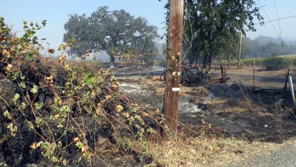Californie: Habitations et vignobles détruits par le Kincade Fire