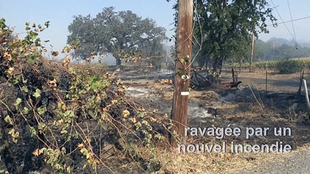 Californie: Habitations et vignobles détruits par le Kincade Fire