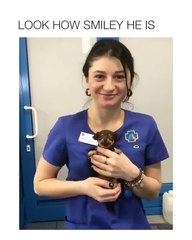 Attention Attention!!! Votre cœur risque de se briser devant tant de mignonitude et de beauté...