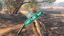 Firefighters tackling massive wildfire in northern California