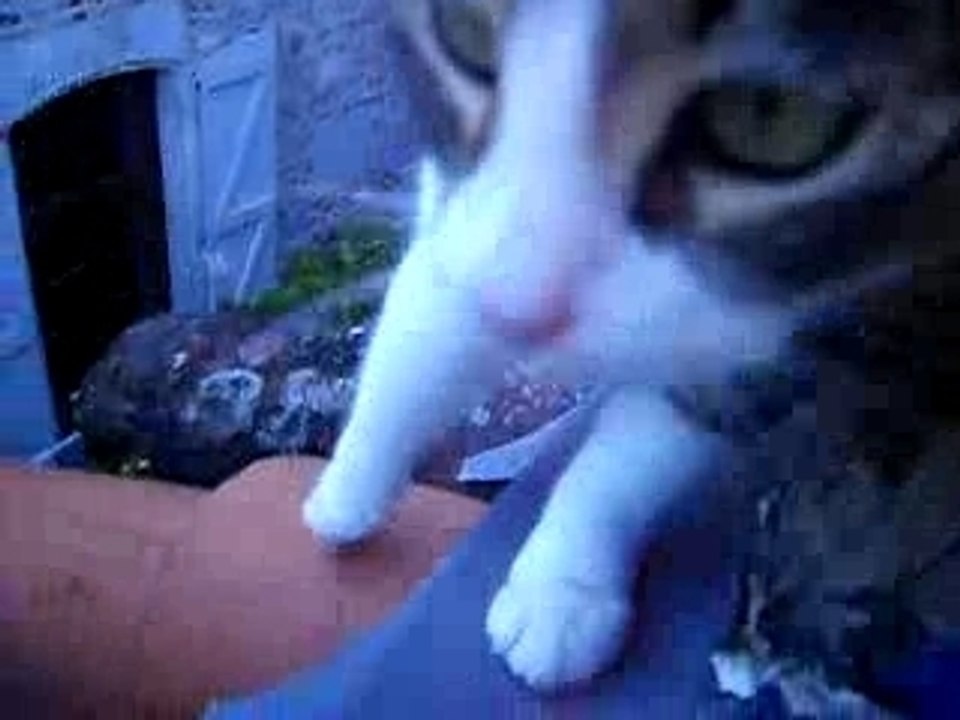 minette des toit !!
