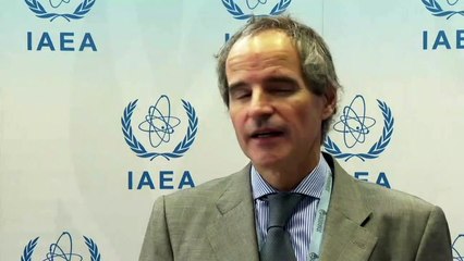 Argentino Grossi es elegido director general de la OIEA