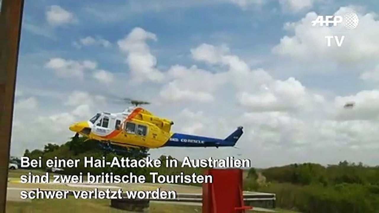 Hai beißt mann fuß ab