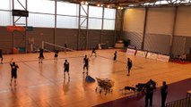 Volley-ball - Les joueurs du Tours VB à l’entraînement au gymnase Viviani d’Épinal