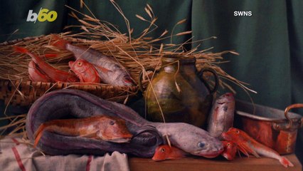 Photography Exhibit Claims to Have the Oldest Photo Ever Taken of a Living Animal on Display