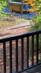 T-Rex Greets Kids School Bus