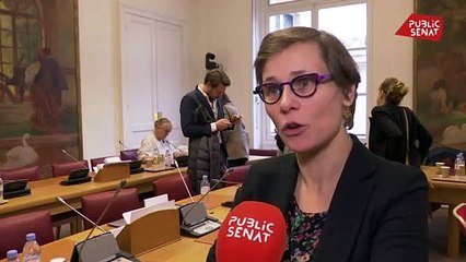 Voile dans les sorties scolaires : Sophie Taillé-Polian dénonce « l’instrumentalisation de la laïcité »