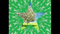 Money tree exists, for those who are daydreaming, is good to wake up! [Quotes and Poems]