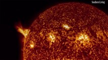 NASA Shared a Photo of the Sun Looking Like a Massive Jack-O'-Lantern