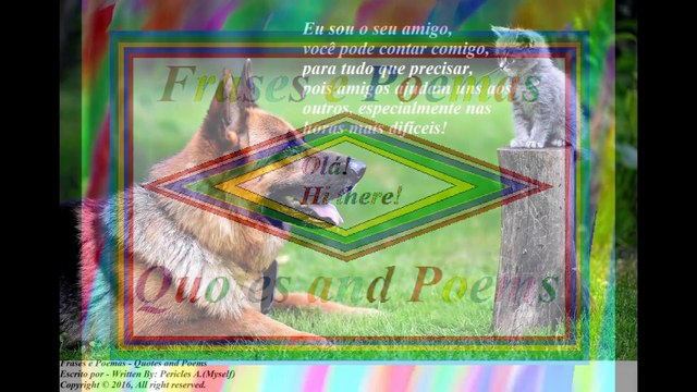 Eu sou o seu amigo, você pode contar comigo para tudo que precisar! [Frases e Poemas]