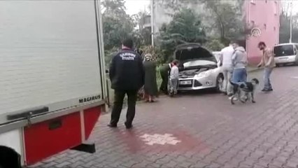 Arabanın motoruna sıkışan kediyi gazeteci kurtardı