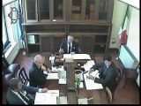 Roma - ​Pensioni, audizione Cassa nazionale previdenza e assistenza forense (29.10.19)