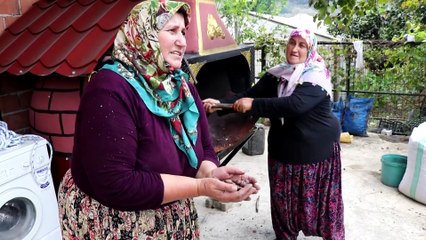 Kestaneyi geleneksel yöntemle saklıyorlar - DÜZCE