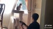 Adorable 12-year-old boy in Alabama serenades kitten with a ukulele