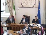 Roma - Agenda 2030, audizione Medici con l'Africa Cuamm (29.10.19)