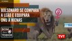 Bolsonaro se compara a leão e equipara ONU a hienas - Qual o papel da ONU – Bom Para Todos 29.10