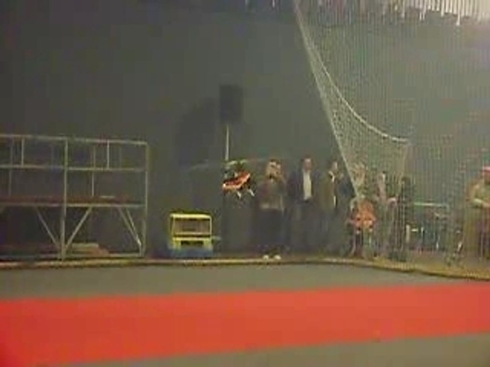 Salon du modelisme de Grande-Synthe - T-rex 500