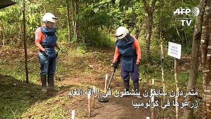 متمردون سابقون ينشطون في إزالة ألغام زرعوها في كولومبيا