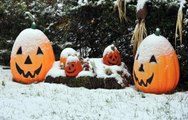 Snow and Thunderstorms Expected Across the U.S. on Halloween Night