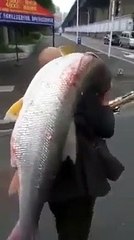 Il rentre de la peche avec une belle prise