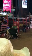 boiadeiro e pisoteado em festa de pião